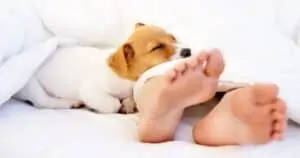how to get a better sleep