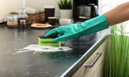 toxins household
