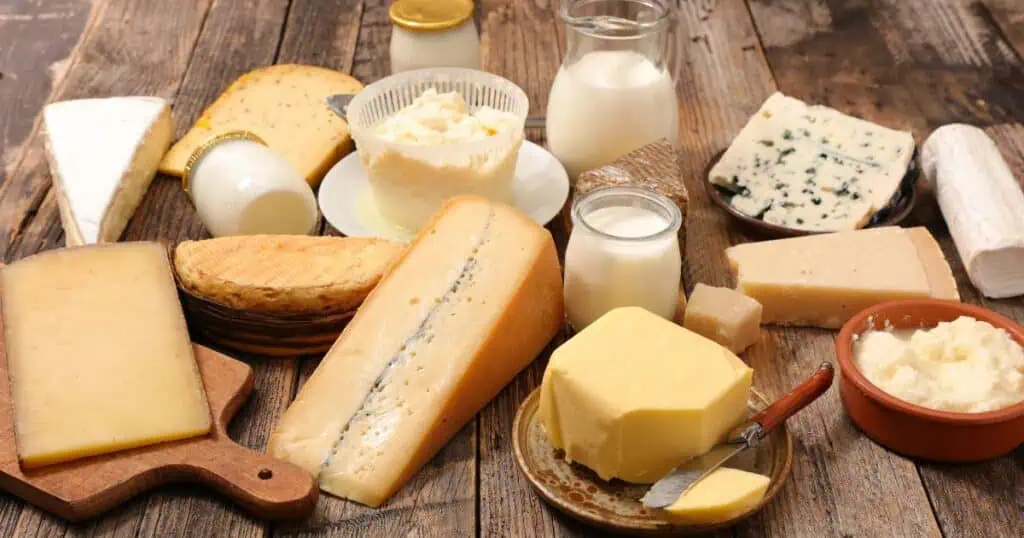 A variety of hard and soft dairy cheeses
