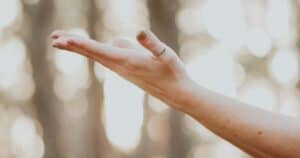 outstretched hands in nature
